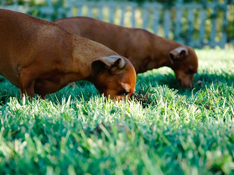 sudoku cloud sync screenshot 4